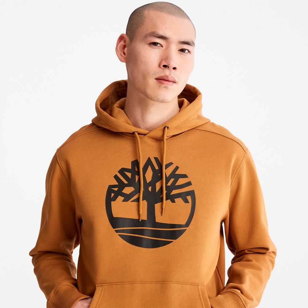 Timberland Tree Logo Marroni Nere | SN-TBL46530