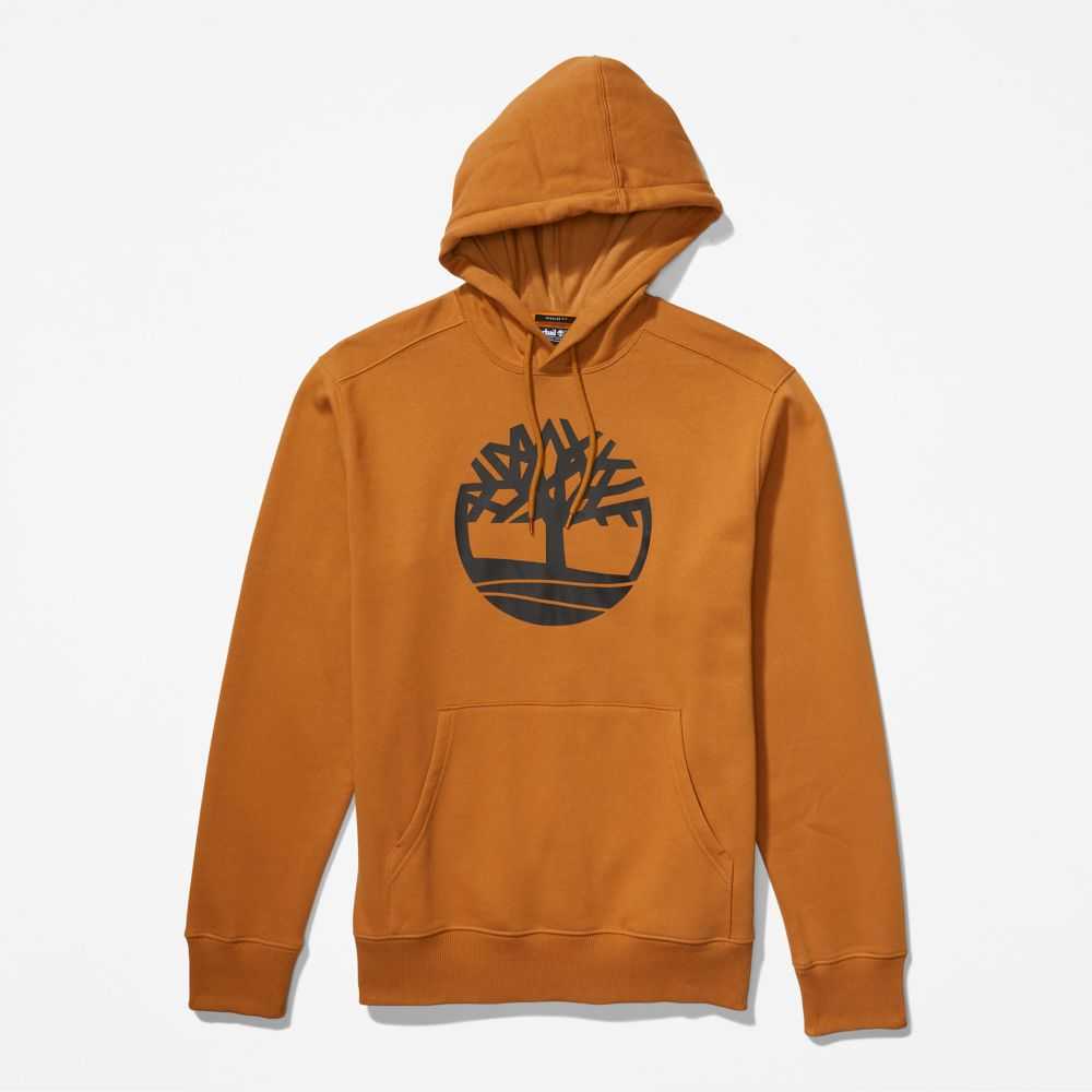 Timberland Tree Logo Marroni Nere | SN-TBL46530