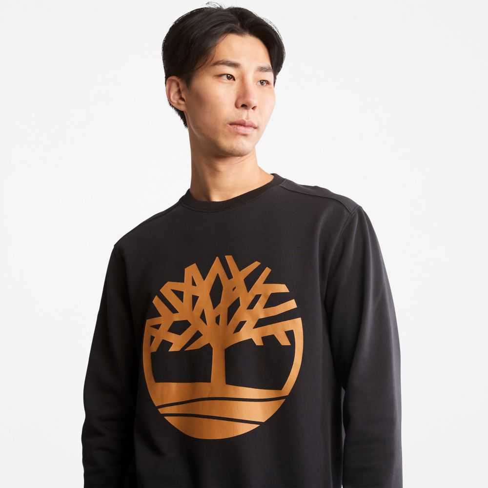 Timberland Tree Logo Nere Marroni | SN-TBL46182