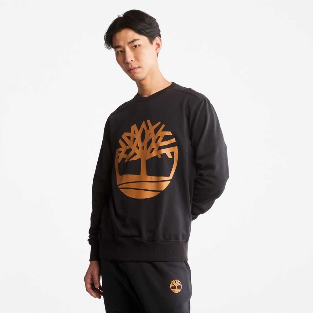 Timberland Tree Logo Nere Marroni | SN-TBL46182