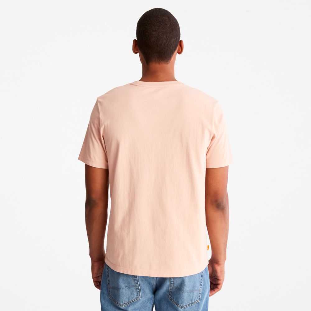 Timberland Tree Logo Rosa | SN-TBL46133