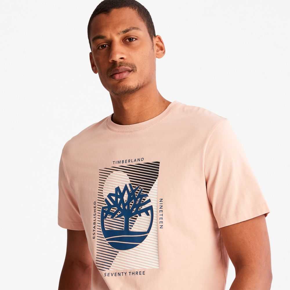 Timberland Tree Logo Rosa | SN-TBL46133