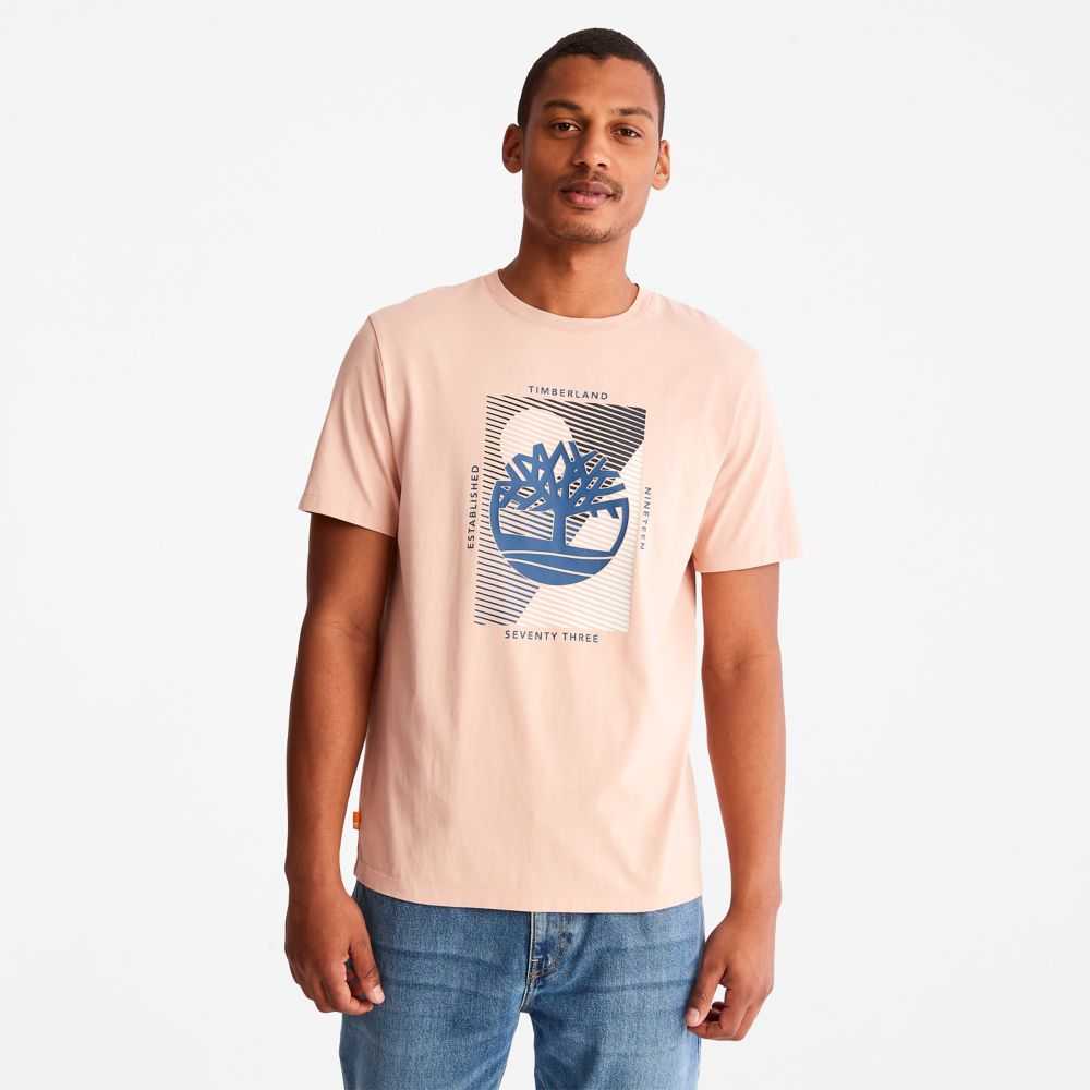 Timberland Tree Logo Rosa | SN-TBL46133