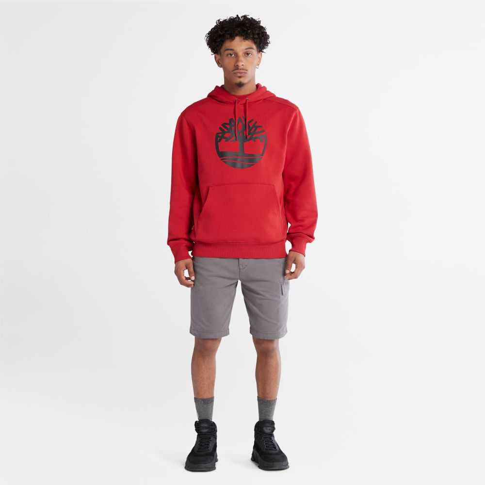 Timberland Tree Logo Rosse Profondo Nere | SN-TBL46529