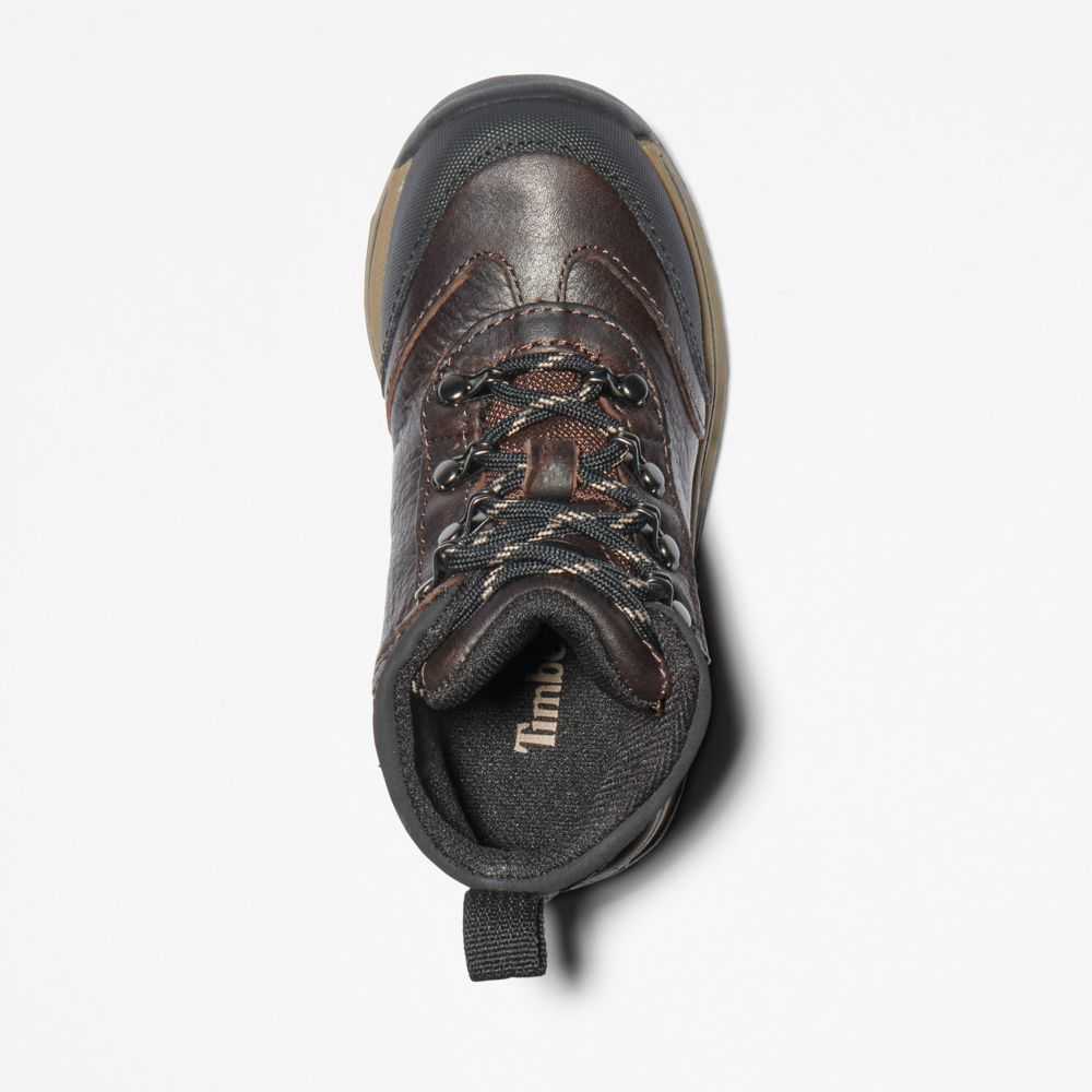 Timberland Waterproof Marroni | SN-TBL46635