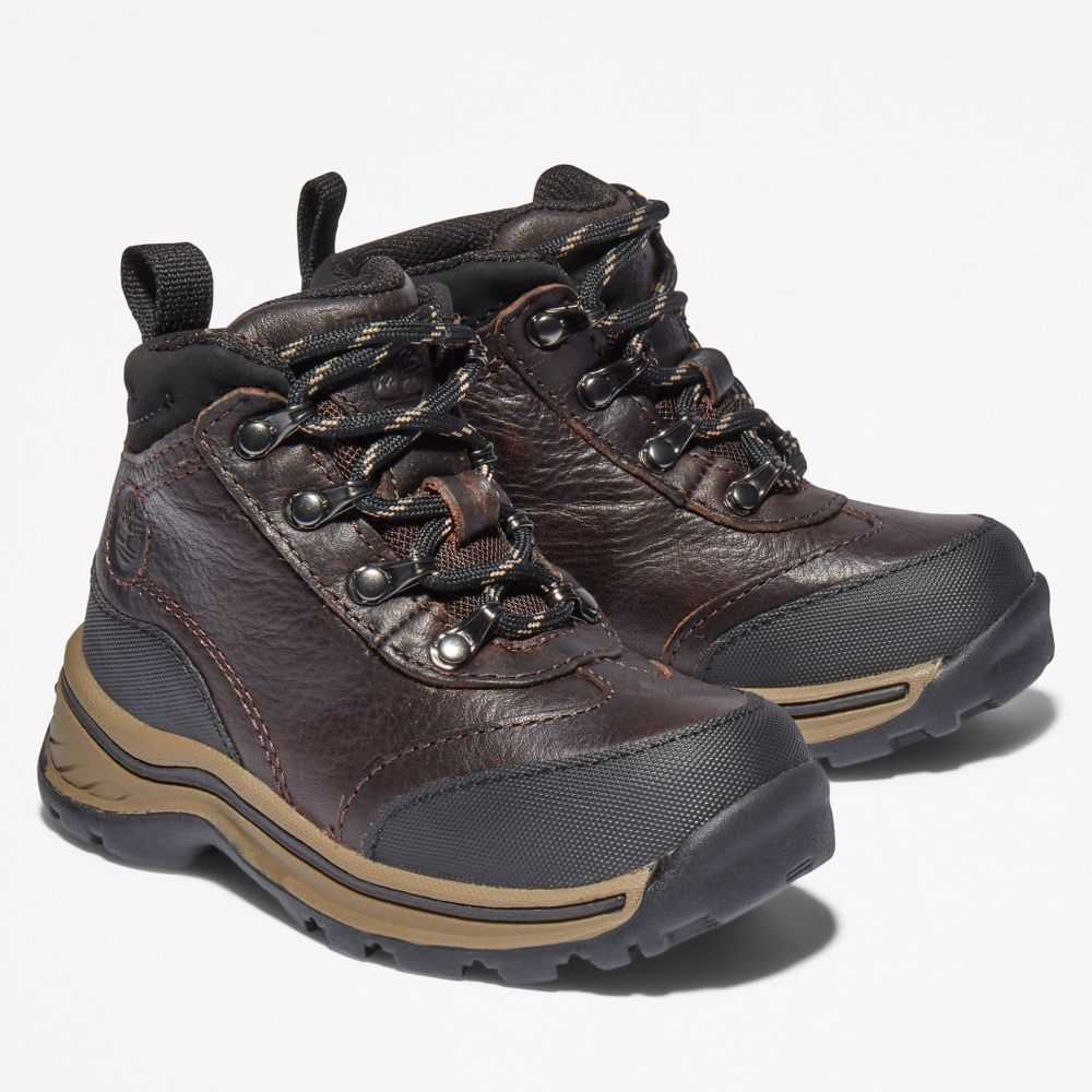 Timberland Waterproof Marroni | SN-TBL46635