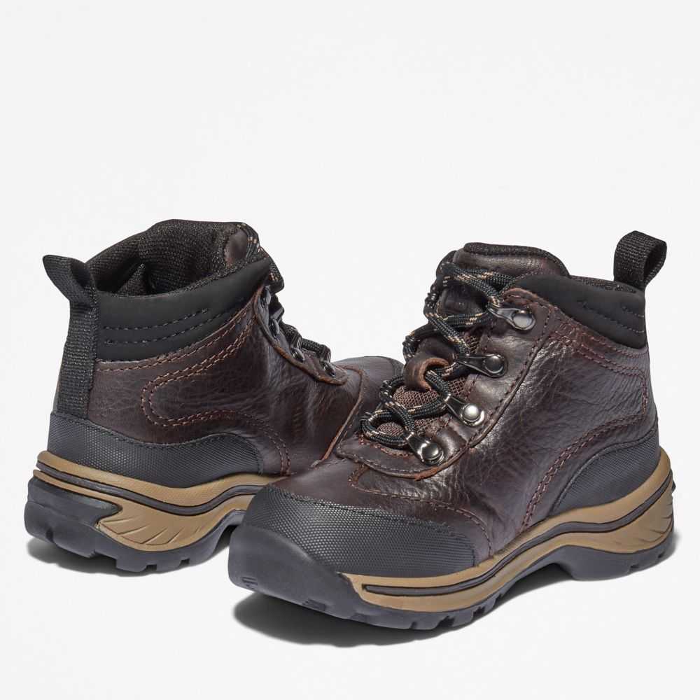 Timberland Waterproof Marroni | SN-TBL46635