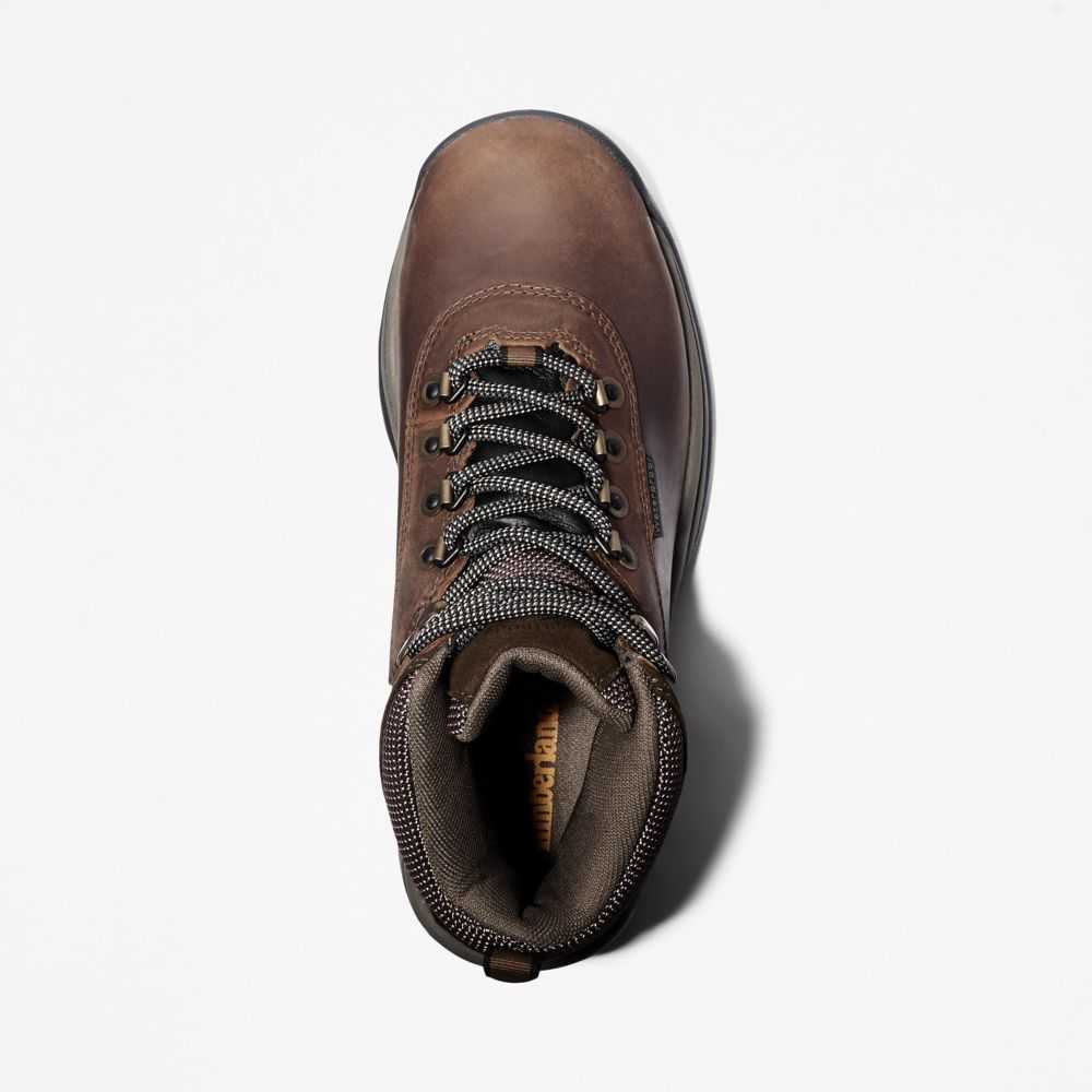 Timberland White Ledge Mid Marroni Scuro | SN-TBL46375
