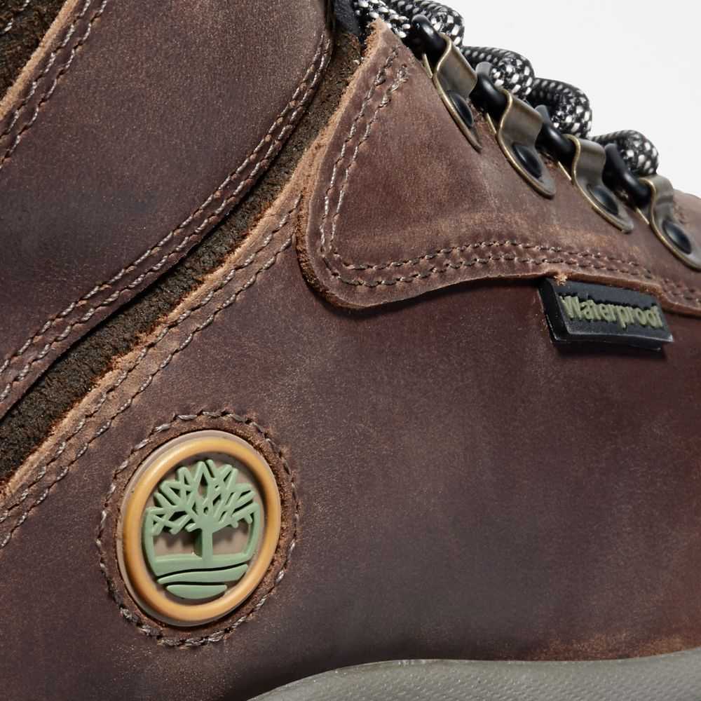Timberland White Ledge Mid Marroni Scuro | SN-TBL46375