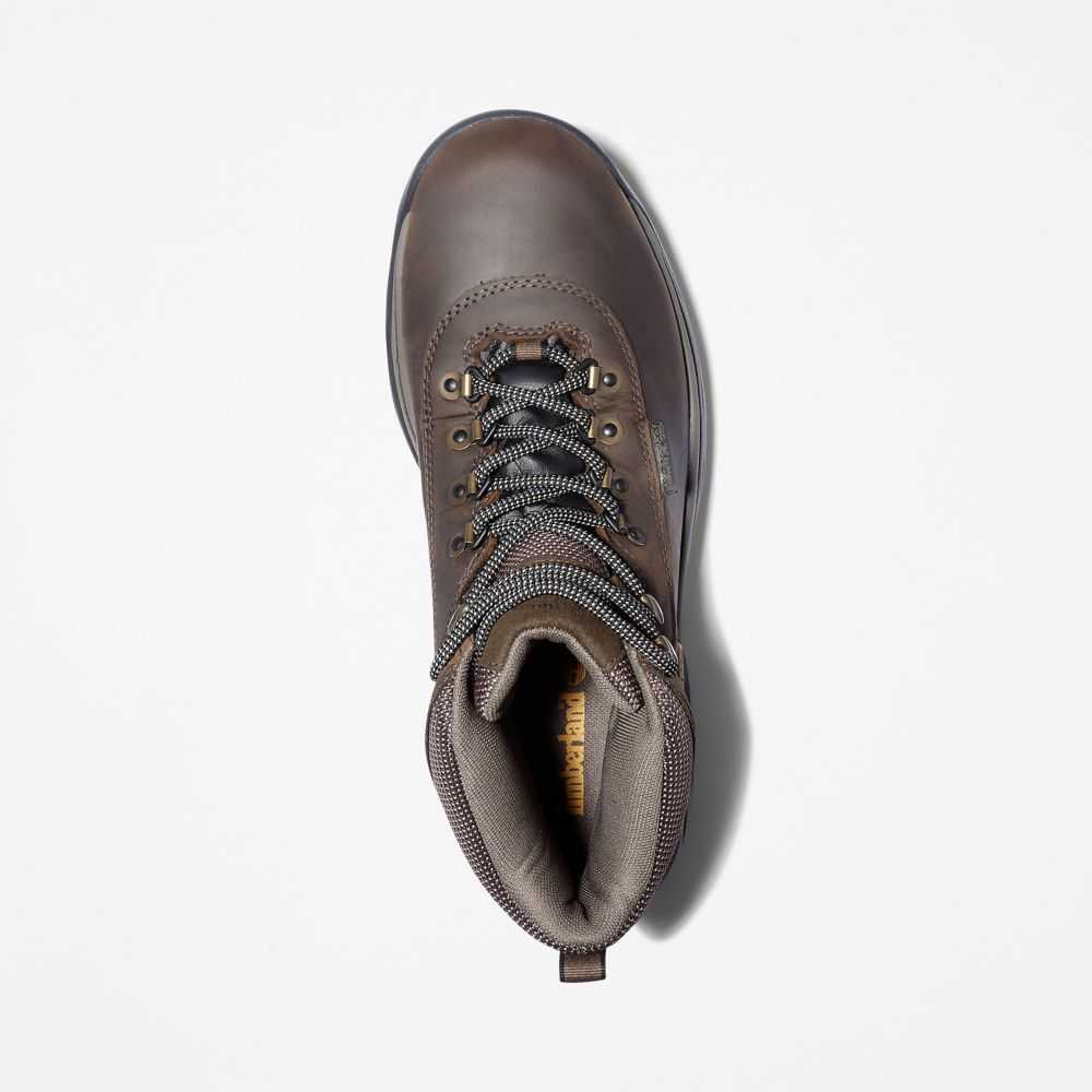 Timberland White Ledge Mid Marroni | SN-TBL45845