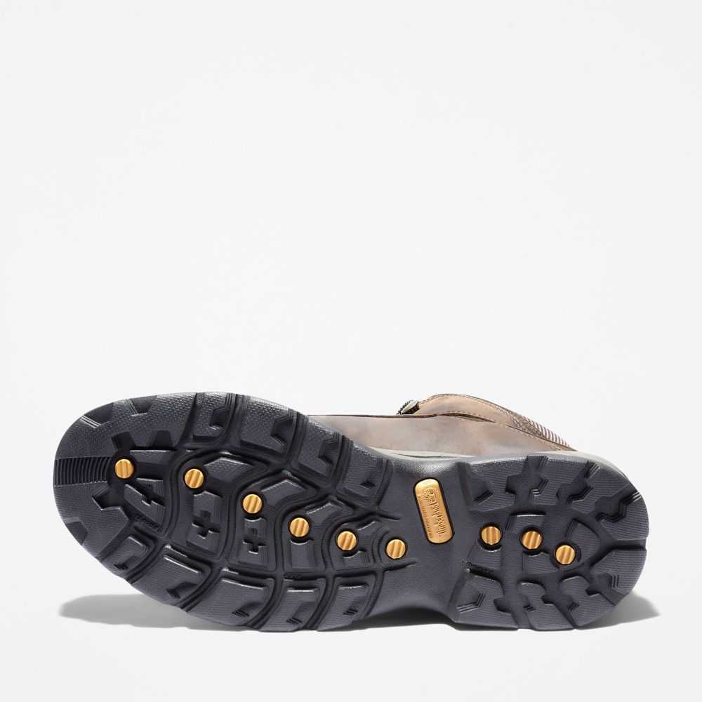Timberland White Ledge Mid Marroni | SN-TBL45845
